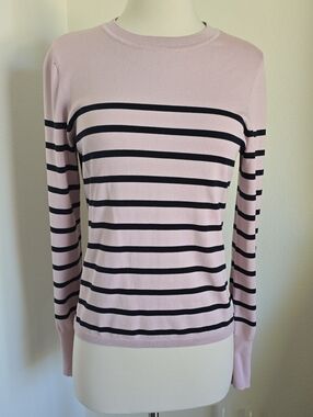 Express Light Pink and Navy Blue Striped Long-Sleeve Crewneck